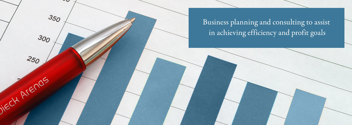 Business planning and consulting to assist  in achieving efficiency and profit goals